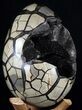 Huge, Septarian Dragon Egg Geode - Crystal Filled #37368-3